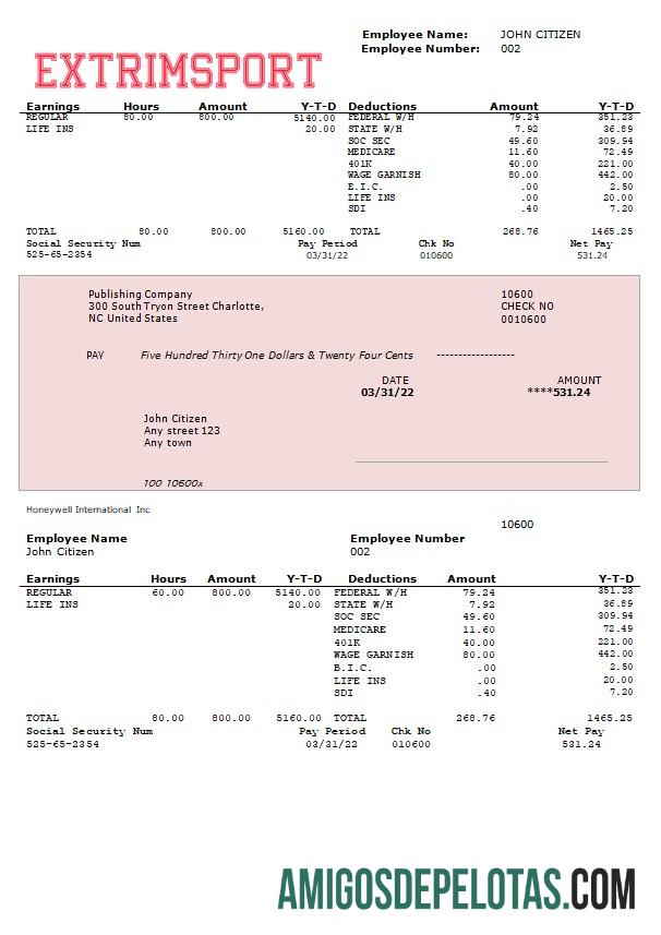 Demonstrativo de ganhos totalmente editável da Extrim Sport Company em formatos Word e PDF modelo